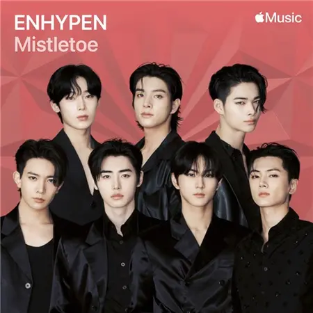 ENHYPEN Rents Out Lotte World Entirely Explosive Fan Love for